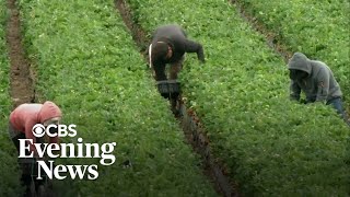 Migrant farm workers express fears of ICE raids