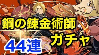 【パズドラ】鋼の錬金術師コラボガチャ！コンプ狙って44連した結果は・・・？！【ガチャ】