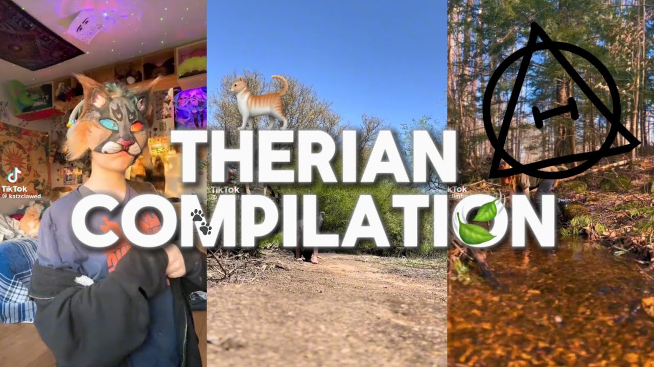 Quadrobics Therian Compilation рџђ рџќѓрџђѕ Therian Quadrobics