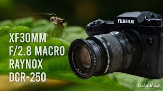 Fujifilm XH2 XF30mm f2.8 Raynox DCR250 Macro Photography