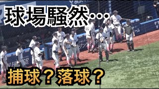 捕球か？それとも落球か？流れを変えた難しい判定に球場は騒然... 日大藤沢vs東海大相模［春季高校野球神奈川大会 準決勝 2021］