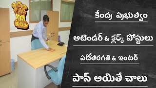 సెంట్రల్ గవర్నమెంట్ క్లర్క్ మరియు అటెండర్ ఉద్యోగాలు || Central Govt Jobs 2020