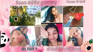 Morning routine...मी किती imp गोष्ट विसरली... Tomato ची चटणी Room baheril greenery