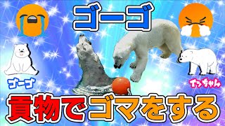 ホウちゃん誕生の原点がここにある！イッちゃんとの距離を縮めたいゴーゴはおもちゃを貢ぐことにした。さてその成果は如何に？【シロクマ love story-47】