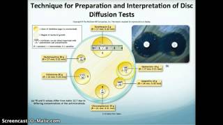 Mini Lecture 10.1 Antimicrobial Therapy Overview