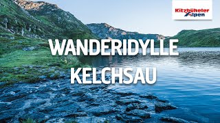 Wanderidylle Kelchsau | Region Hohe Salve - Kitzbüheler Alpen