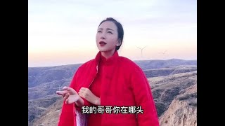 黄土高坡飘来田锦悦动听的陕北情歌《想你容易见面难》我的哥哥…