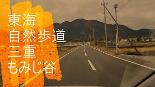 紅葉シーズン２０２０　東海自然歩道　もみじ谷