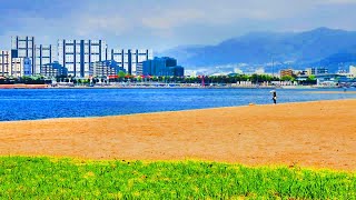 【原付二種】兵庫県西宮市御前浜公園で釣った魚を食べよう【釣り】