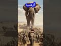 محاولة هدم الكعبة قصة لا تفوتك