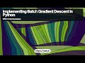 Batch Gradient Descent in Python: Implementation and Analysis