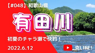 【#048】有田川　初夏の鮎釣り