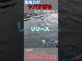 集魚力がヤバすぎるルアーを投げたらとんでもなかった！ shorts 釣り fishing エリアトラウト trout 管理釣り場