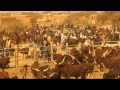 Drought-weakened animals dying in Niger