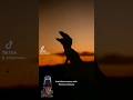 The Wildest Dinosaur Horror