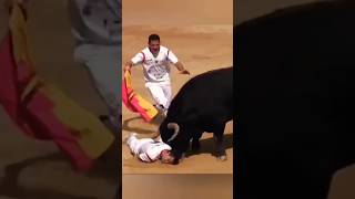 Bull Fighter l SPAIN l Pamplona San Fermin festival