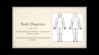 How to Write a Stellar First Autopsy Report