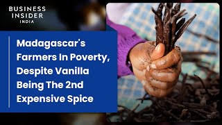 Vanilla Is The 2nd Most Expensive Spice. So Why Do Madagascar's Farmers Live In Poverty?