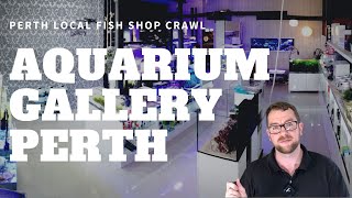 Perth LFS Crawl - Aquarium Gallery Perth