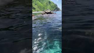 【15秒の北海道旅行　積丹ブルーと光る波の音】　カヤック　水の音　自然音　環境音　shorts waves blue ocean natural sound  さえずり bird chirping