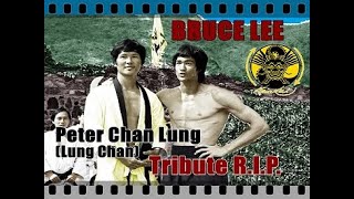 李小龍 Bruce Lee Tribute R.I.P. Peter Chan Lung (Lung Chan) ブルース・リー