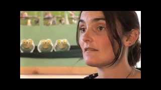 Early Talk Evaluation: Westexe Children's Centre Case Study
