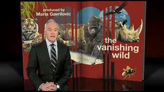 Near Term Human Extinction Goes Mainstream on CBS 60 Minutes: the vanishing wild 6th Mass Extinction