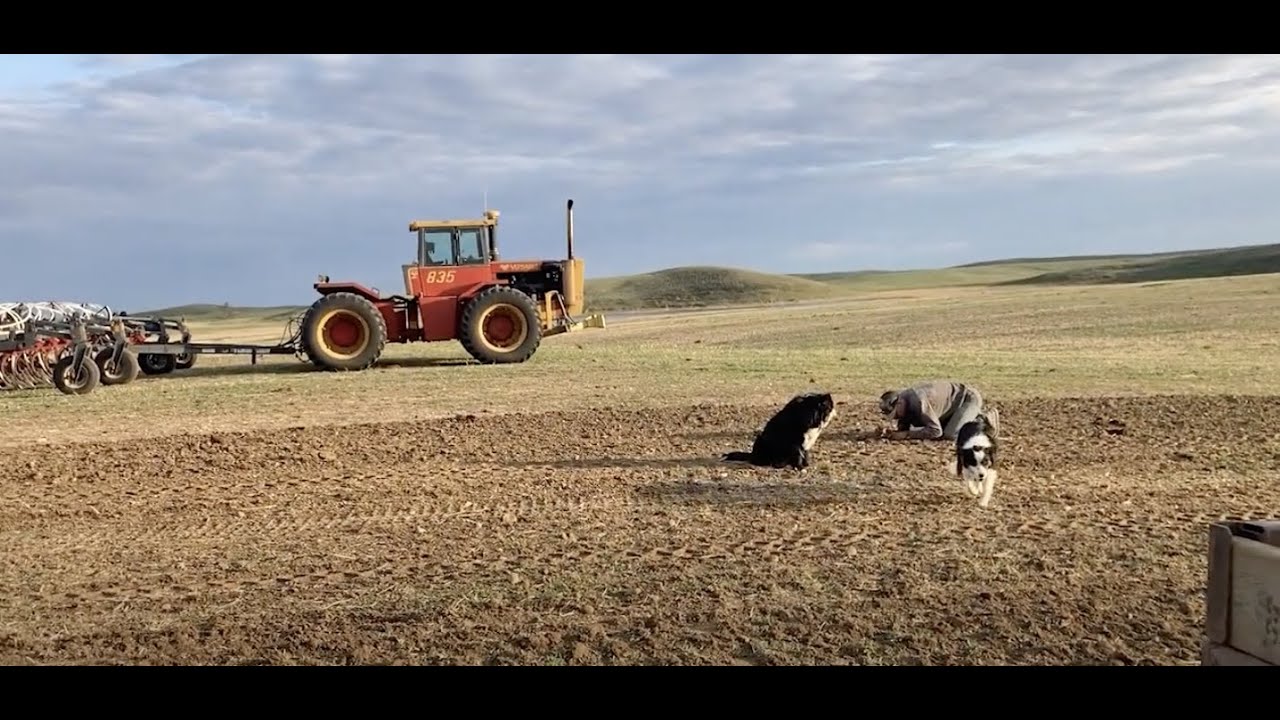 May Spring Seeding Youtube