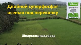 Суперфосфат удобрение. Как вносить осенью под перекопку.