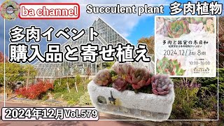 579{多肉植物} 多肉イベントで買ってきた多肉と雑貨💖鹿沼土で寄せ植えしたよ【多肉事】【多肉狩り】【多肉バイキング】【多肉お弁当苗】【ba多肉】【baチャンネル】【Succulent】