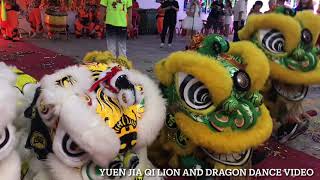 南仙龙狮体育会, Nam Sieng Lion Dance Cai Qing Performance on the 26/11/22