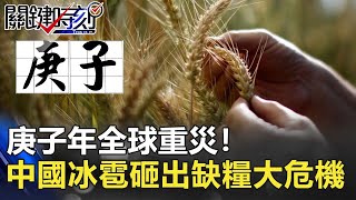 庚子年全球重災！中國大陸冰雹狂砸！砸出缺糧大危機！【2020聚焦關鍵】周末播出版 20200509-4劉寶傑 黃文華 李正皓 黃創夏 姚惠珍 邱敏寬 邱明玉 黃益中