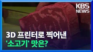 [글로벌K] 3D 프린터로 찍어낸 ‘대체 고기’…그 맛은? / KBS  2021.11.18.