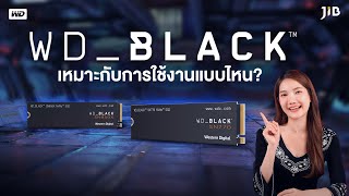 SSD WD_Black เหมาะกับการใช้งานแบบไหน | JIB Review EP.230