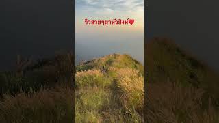 ความสุขที่หาได้จากธรรมชาติ❤️🤭 #relax #digueisland #relaxingpianomusic #nature #ชิวๆ #ทับเบิก