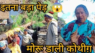 दादी जी से मिली  मुझे इतनी अच्छी जानकारी🤗#viralvideo #trending #garhwali#culture #vlog#uttarakhand