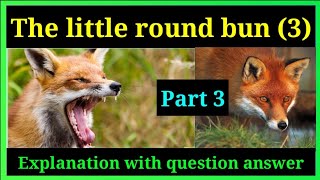 Class 5 english lesson 4॥ The little round bun (3) Part-3 question answer  odia medium osepa class 5