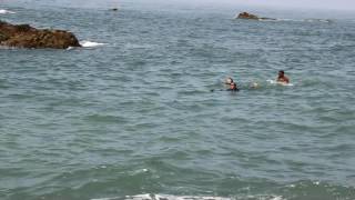 St Mary island to Malpe sea swim- Ankita G Dhanya