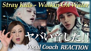 めちゃくちゃヒップホップ！ Stray Kids "Walkin On Water" M/V【歌声分析】【リアクション】