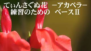 瑞慶覧尚子　てぃんさぐぬ花　ベースⅡ　「リーダーシャッツ２１」より