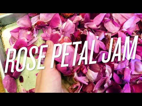 Stop and Taste the Roses at Sofra Bakery & Cafe Stop and Taste the Roses at Sofra Bakery & Cafe