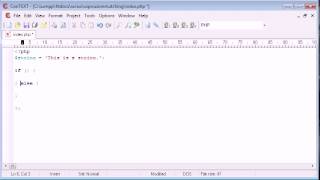 Beginner PHP Tutorial 44 Expression Matching