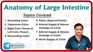 Anatomy of Colon (Large intestine ) - Ascending Transverse and Descending colon, Sigmoid colon