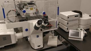 Hardware components Laser Scanning Confocal