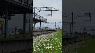 江部乙駅で札幌行き特急カムイと旭川行きライラックのすれ違い