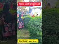 stop and take a picture of me থামুন এবং আমার একটি ছবি তুলুন shots