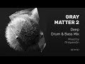 Gray Matter 2 | Deep Drum and Bass Mix