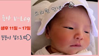 조리원 퇴소 집으로💨💨💨 /신생아 생후 11일~17일 육아일기!