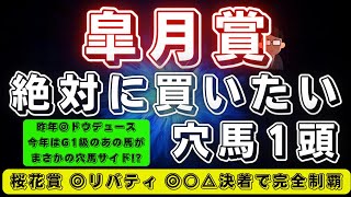 皐月賞2023【データ考察】騙されるな...‼️この穴馬は面白いです💡