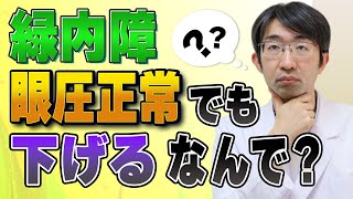 緑内障で眼圧正常でも眼圧下げろと言われるのは納得できない